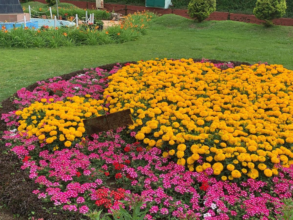 Kodai Pinetree Residency Kodaikanal Εξωτερικό φωτογραφία