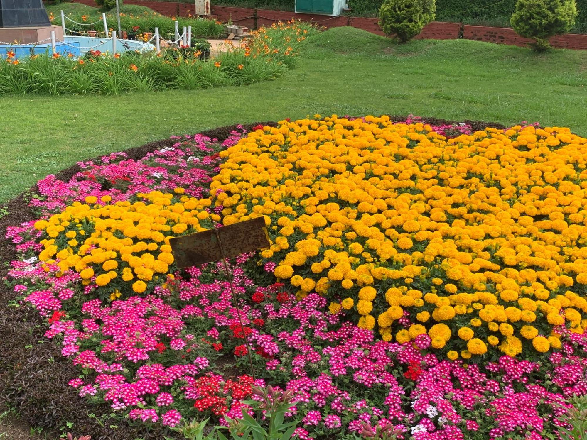 Kodai Pinetree Residency Kodaikanal Δωμάτιο φωτογραφία
